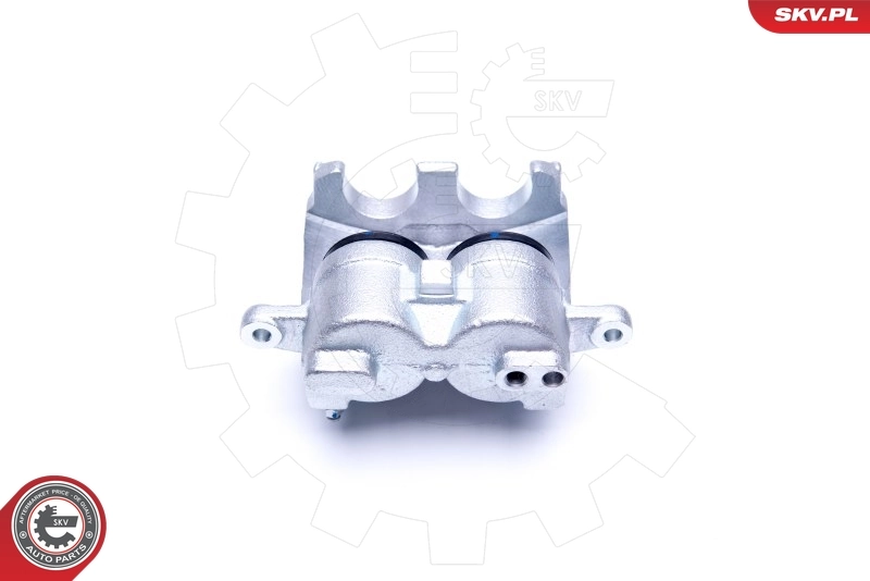 Brake Caliper 42SKV931