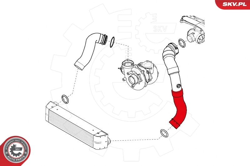 Charge Air Hose 43SKV120