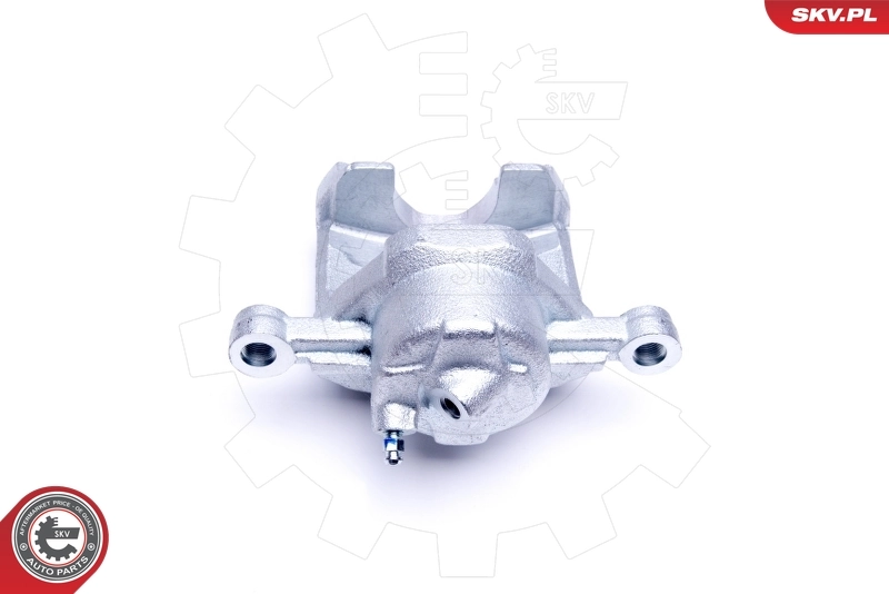 Brake Caliper 46SKV122