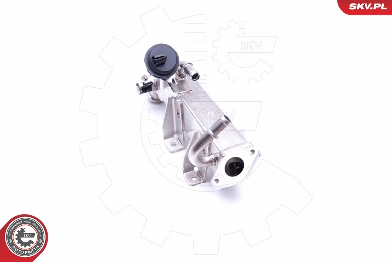 Cooler, exhaust gas recirculation 14SKV199