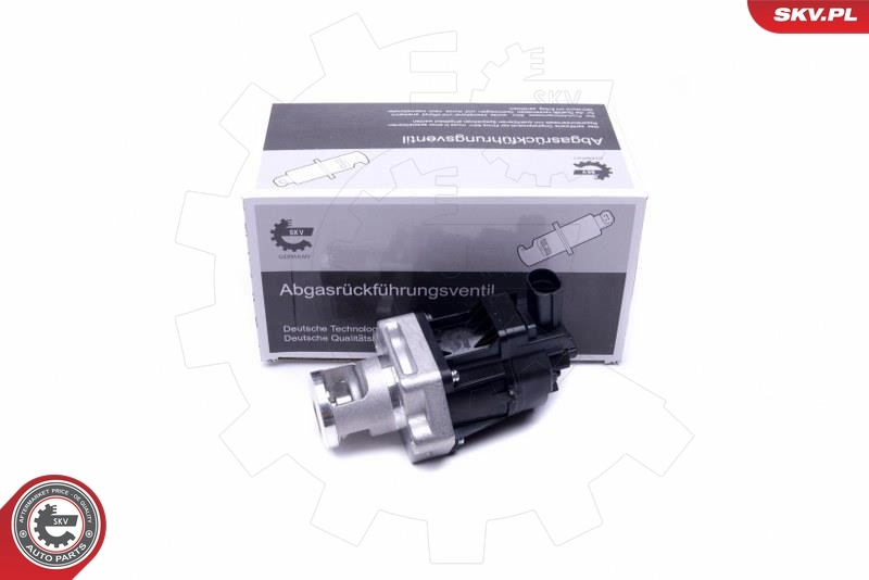 EGR Valve 14SKV217