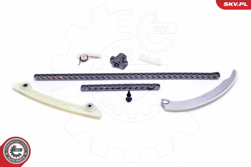 Timing Chain Kit 21SKV232