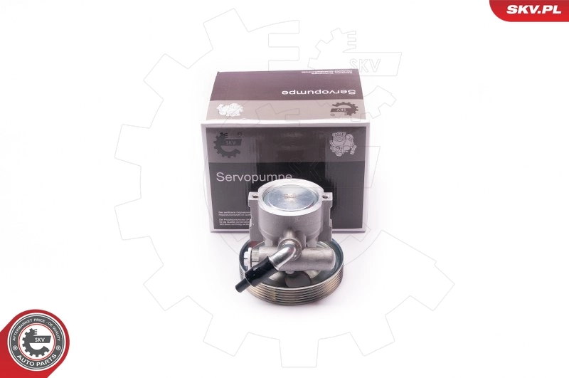 Hydraulic Pump, steering 10SKV218