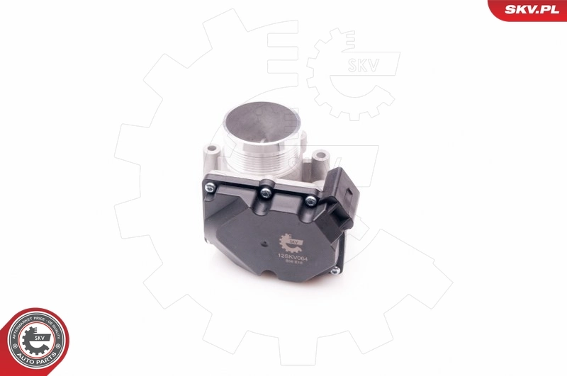 Throttle Body 12SKV064