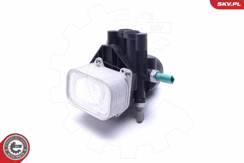 Oil Cooler, engine oil 31SKV169