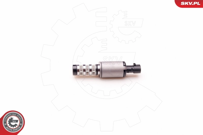 Control Valve, camshaft adjustment 39SKV001