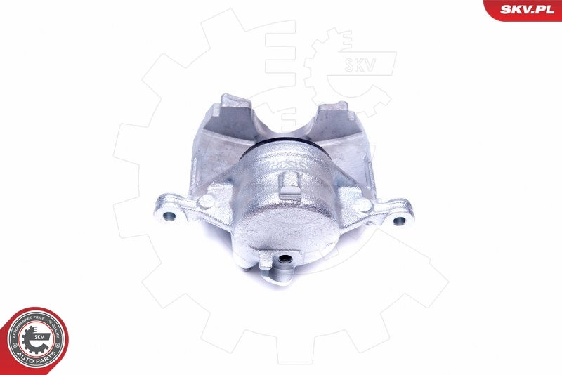Brake Caliper 42SKV802