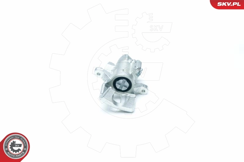 Brake Caliper 23SKV233
