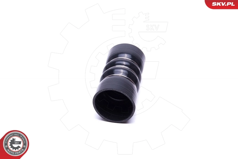 Charge Air Hose 54SKV213