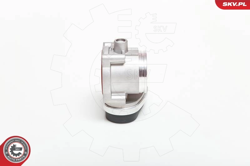 Throttle Body 12SKV040