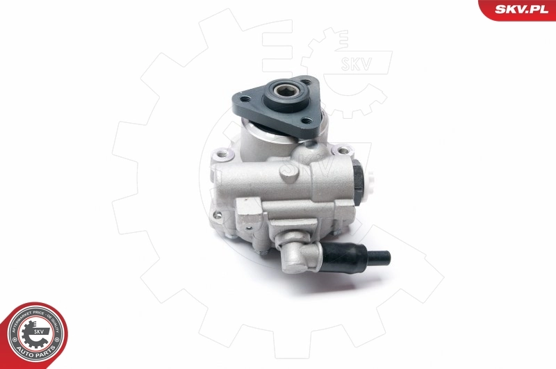 转向助力泵 10SKV221