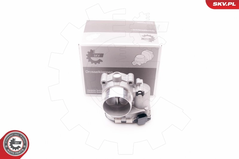 Throttle Body 12SKV053