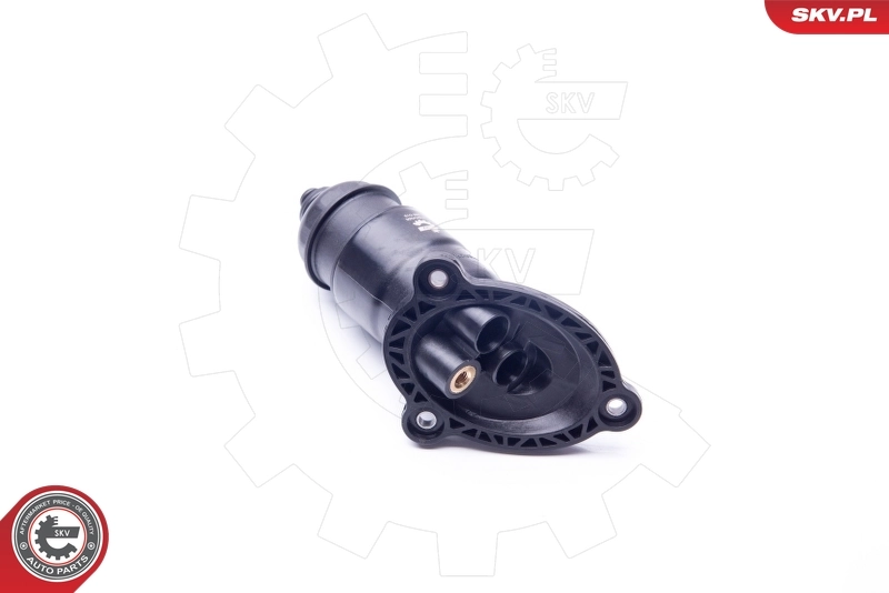 Hydraulic Filter, automatic transmission 31SKV056