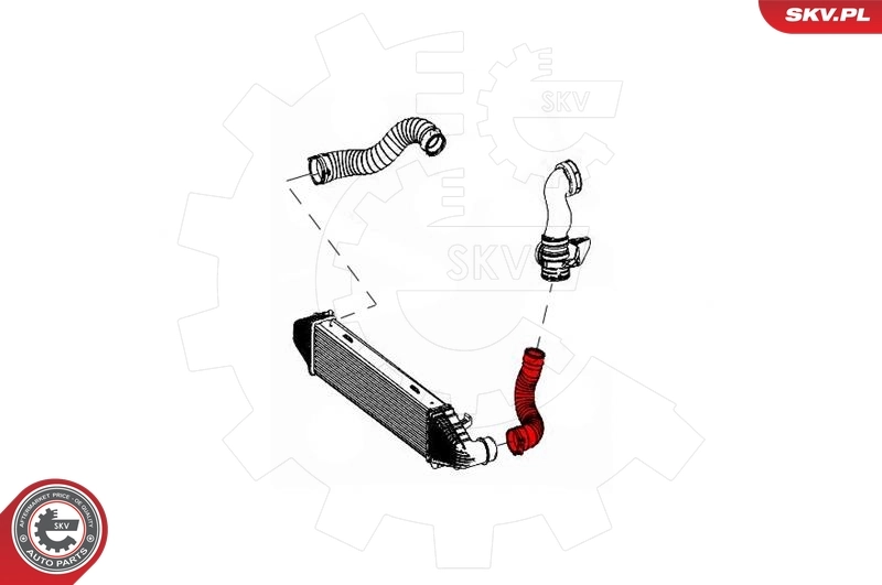 Charge Air Hose 43SKV240