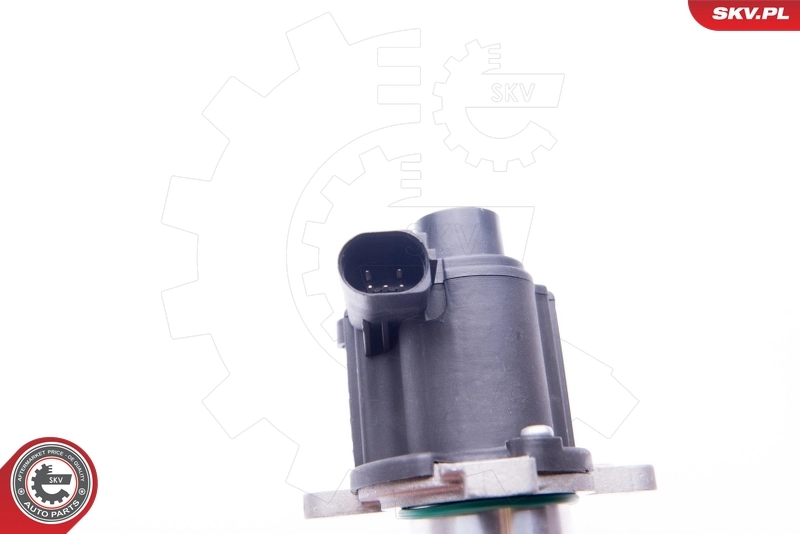EGR Valve 14SKV163