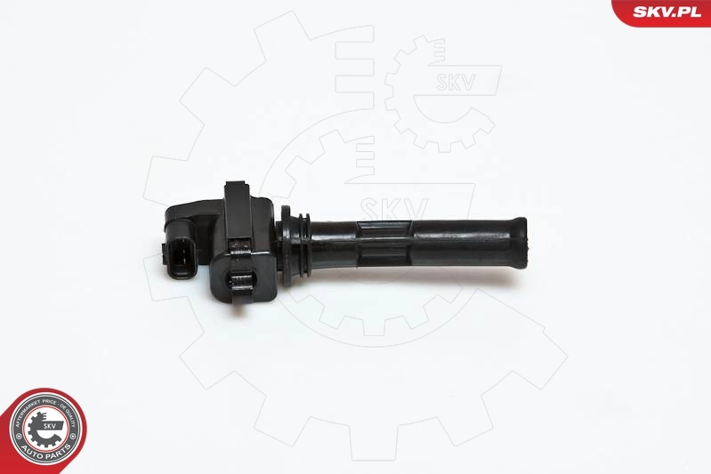 Ignition Coil 03SKV030