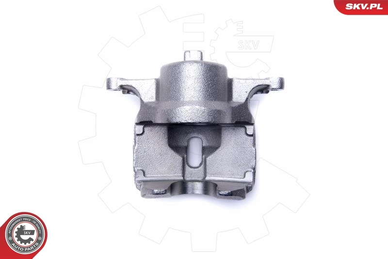 Brake Caliper 55SKV981