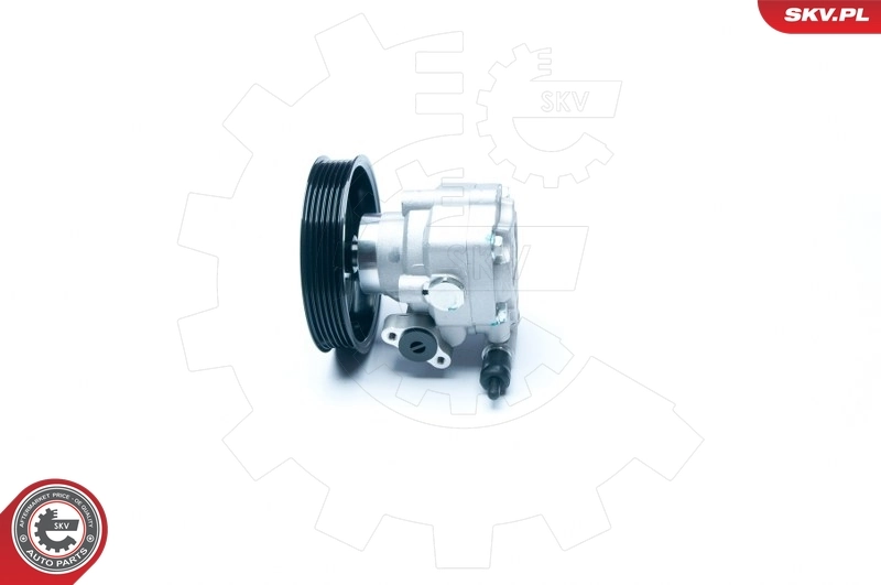 Hydraulic Pump, steering 10SKV183