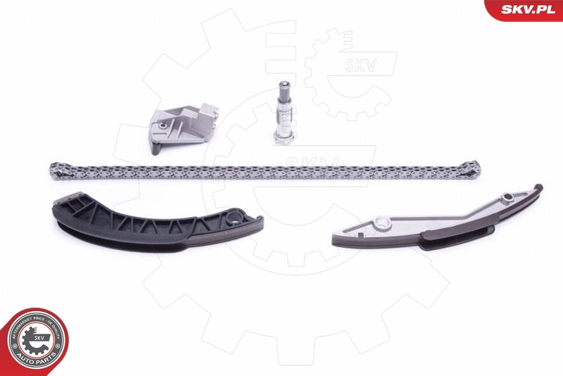 Timing Chain Kit 21SKV134