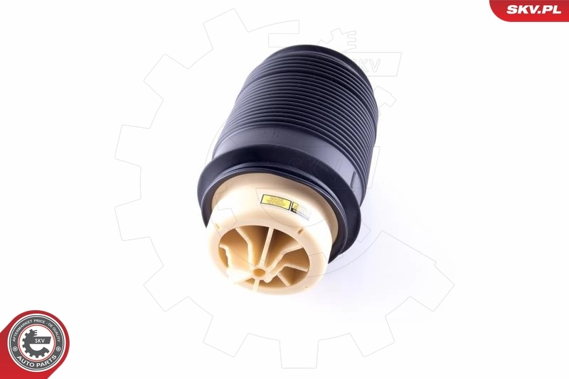 Air Spring, suspension 58SKV012