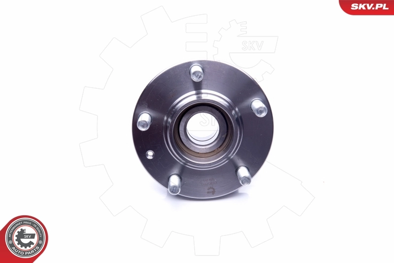 Wheel Bearing Kit 29SKV199