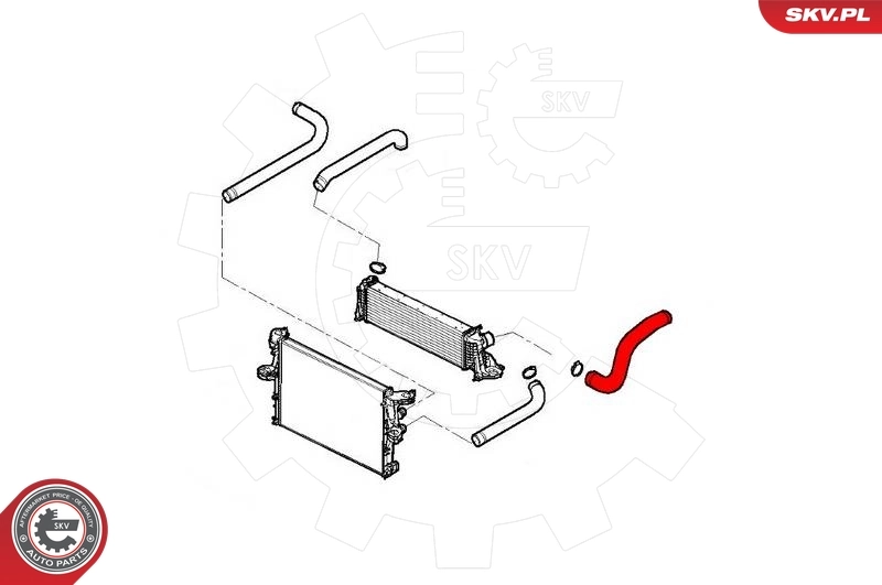 Charge Air Hose 43SKV291