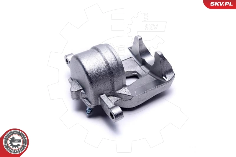 Brake Caliper 42SKV792
