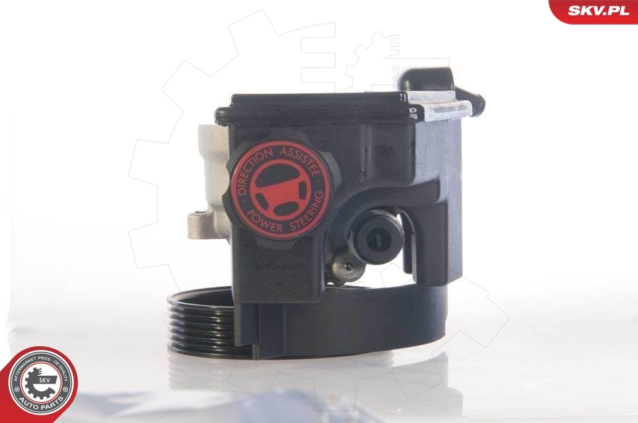 Hydraulic Pump, steering 10SKV171