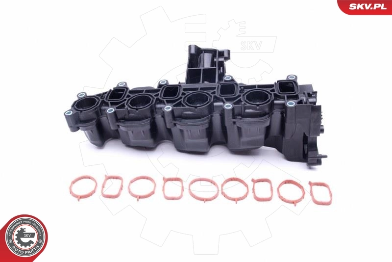 Intake Manifold Module 49SKV040