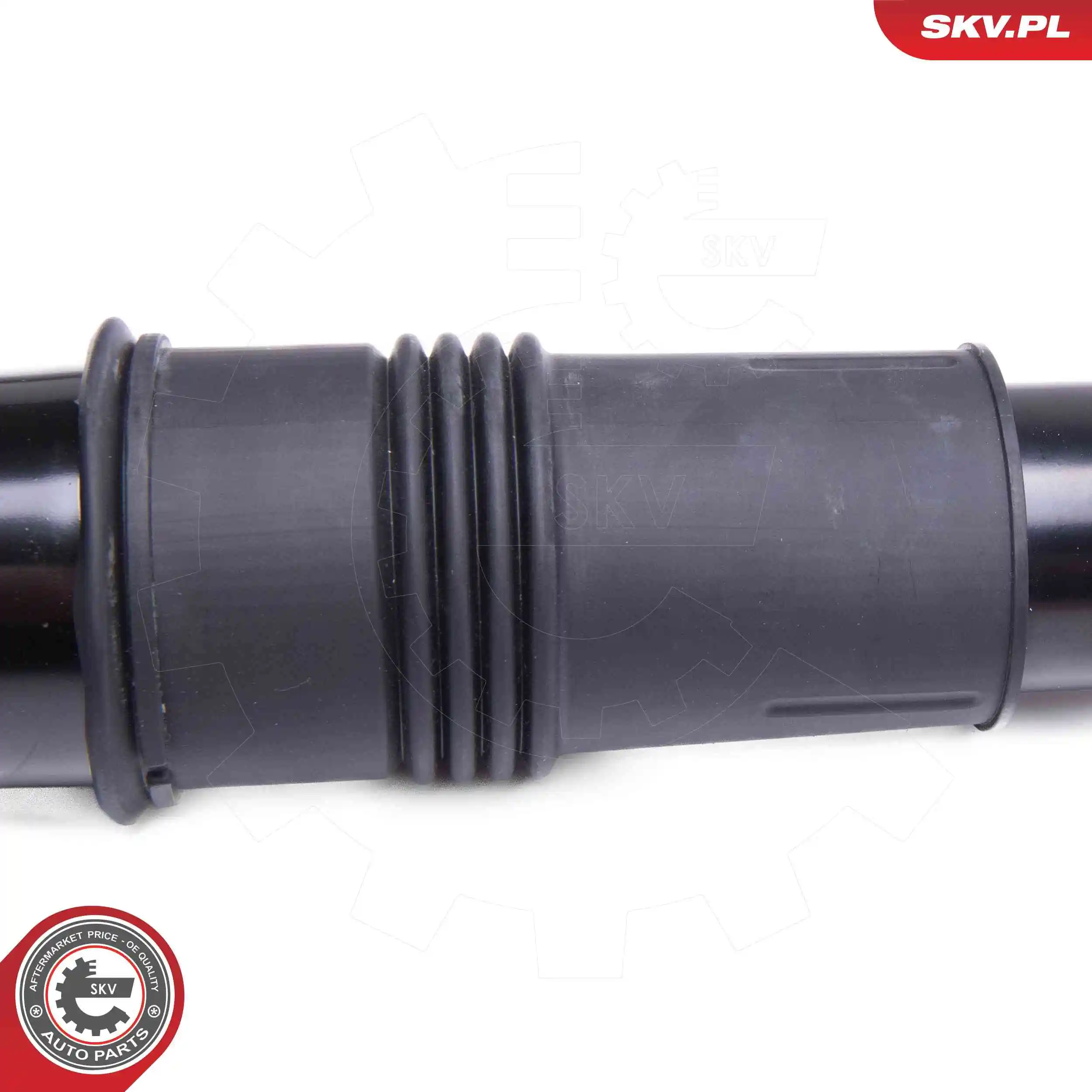 Air Suspension Strut 58SKV715