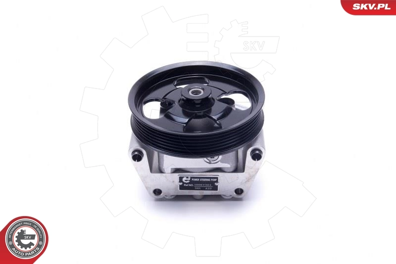 Hydraulic Pump, steering 10SKV304