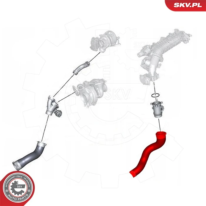 Charge Air Hose 43SKV427