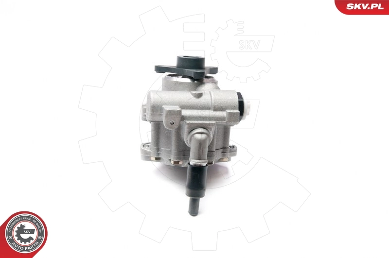 Hydraulic Pump, steering 10SKV199