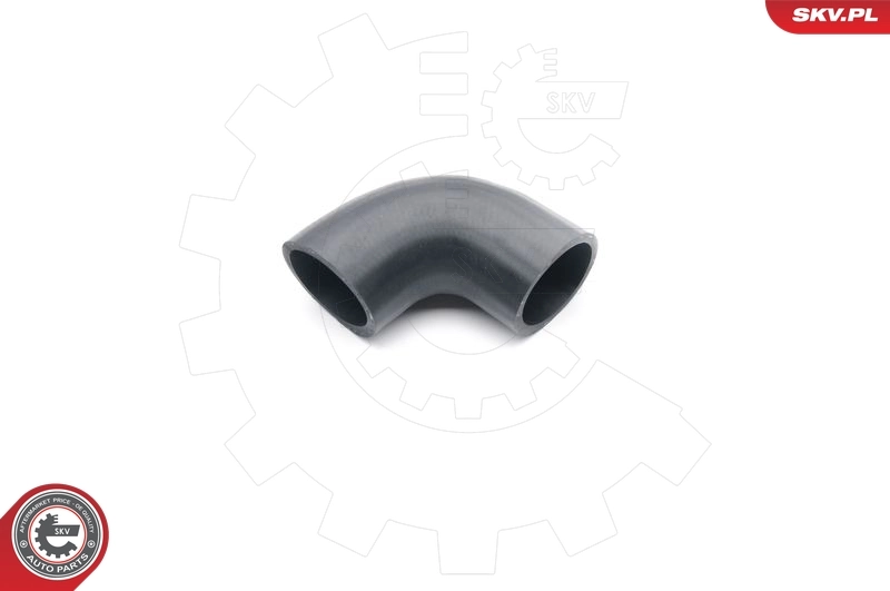 Charge Air Hose 24SKV218
