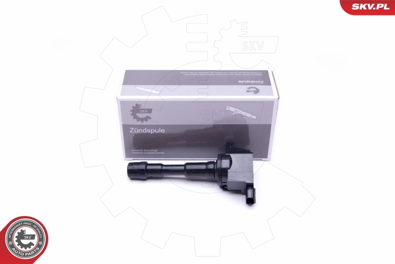 Ignition Coil 03SKV311