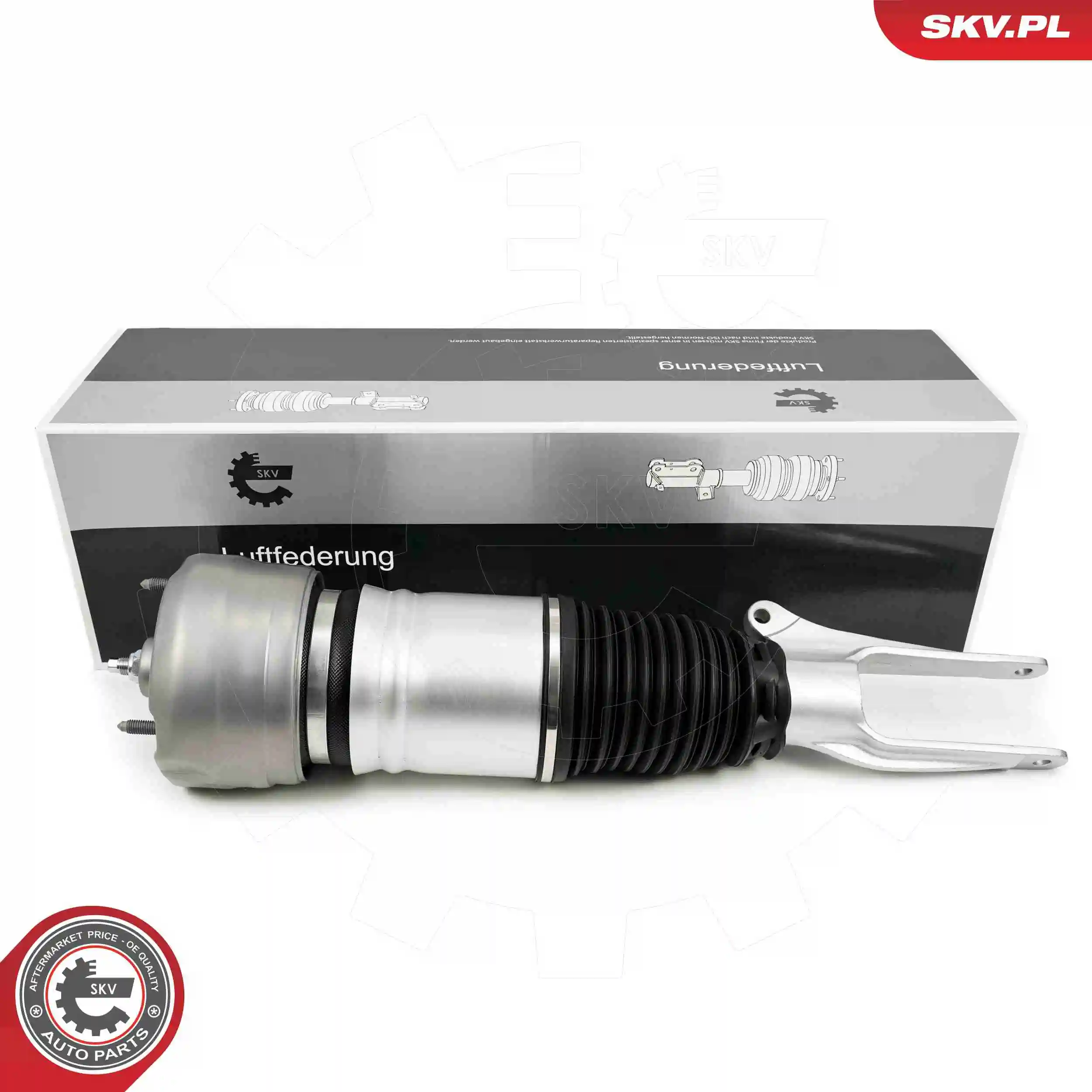Air Suspension Strut 58SKV708