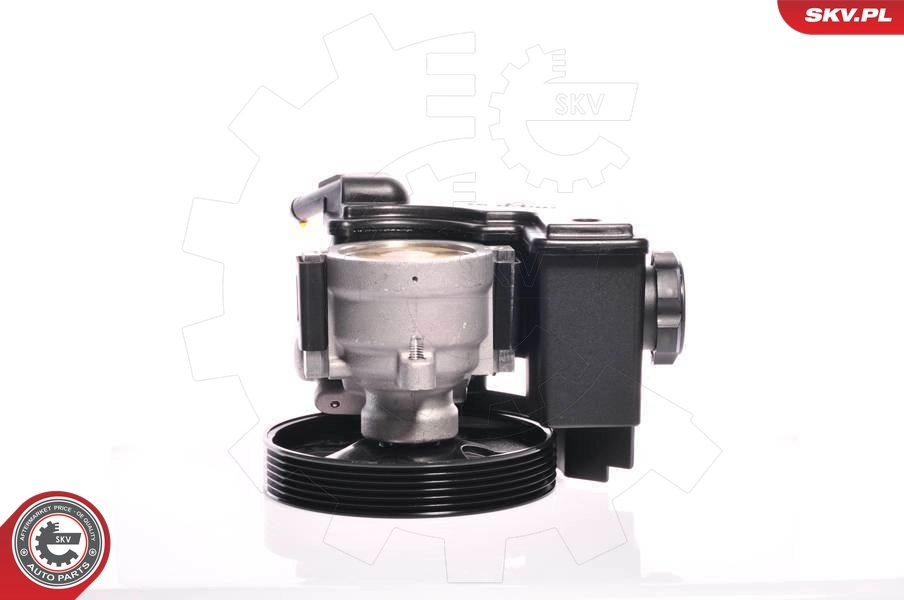 Hydraulic Pump, steering 10SKV159