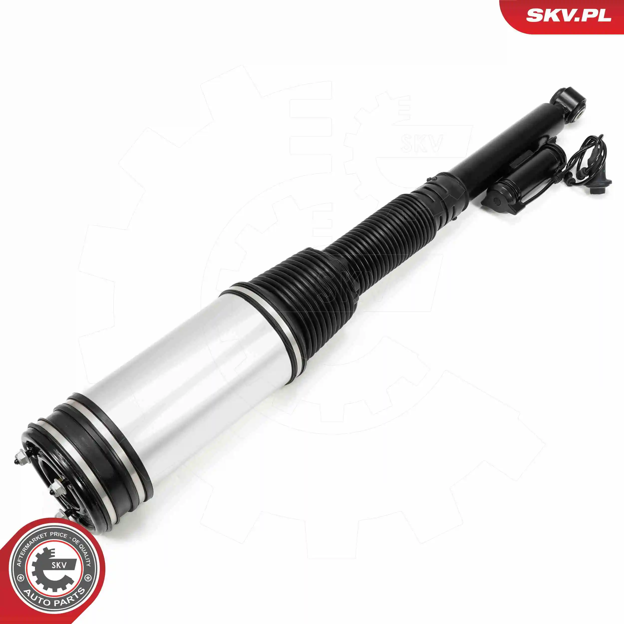 Air Suspension Strut 58SKV719