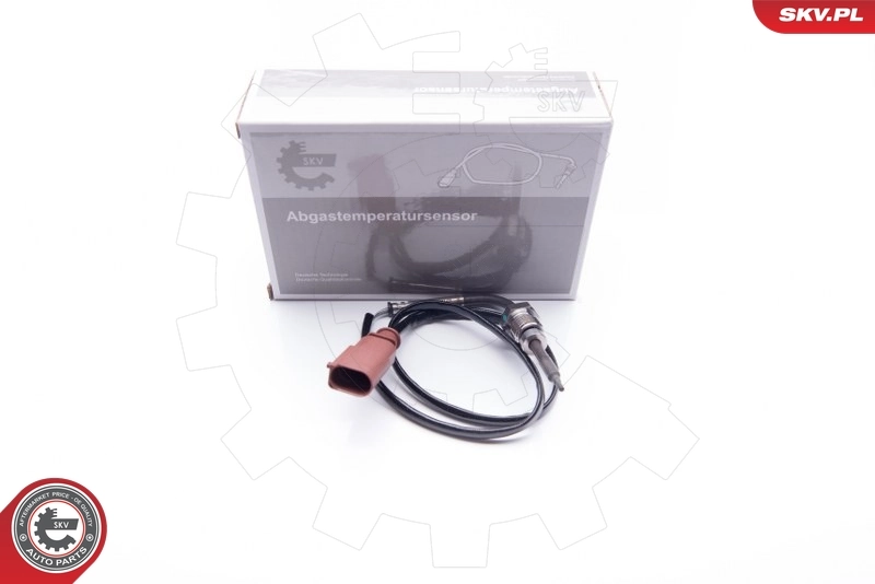 Capteur, température des gaz 30SKV024