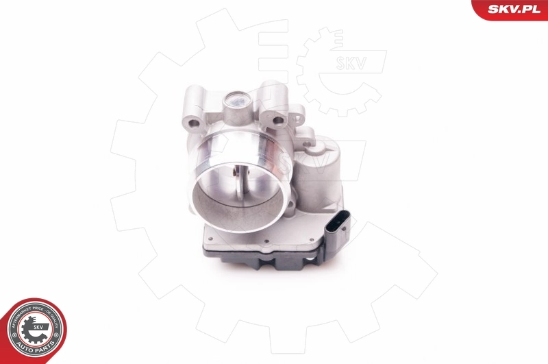 Throttle Body 12SKV060