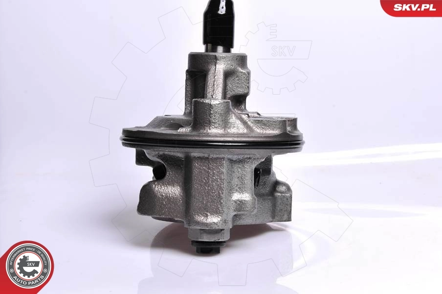 Hydraulic Pump, steering 10SKV128