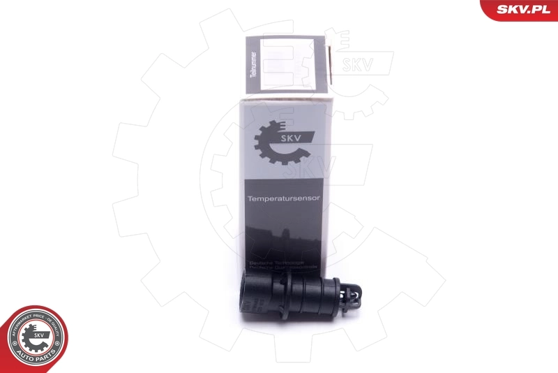Sensor, intake air temperature 17SKV683