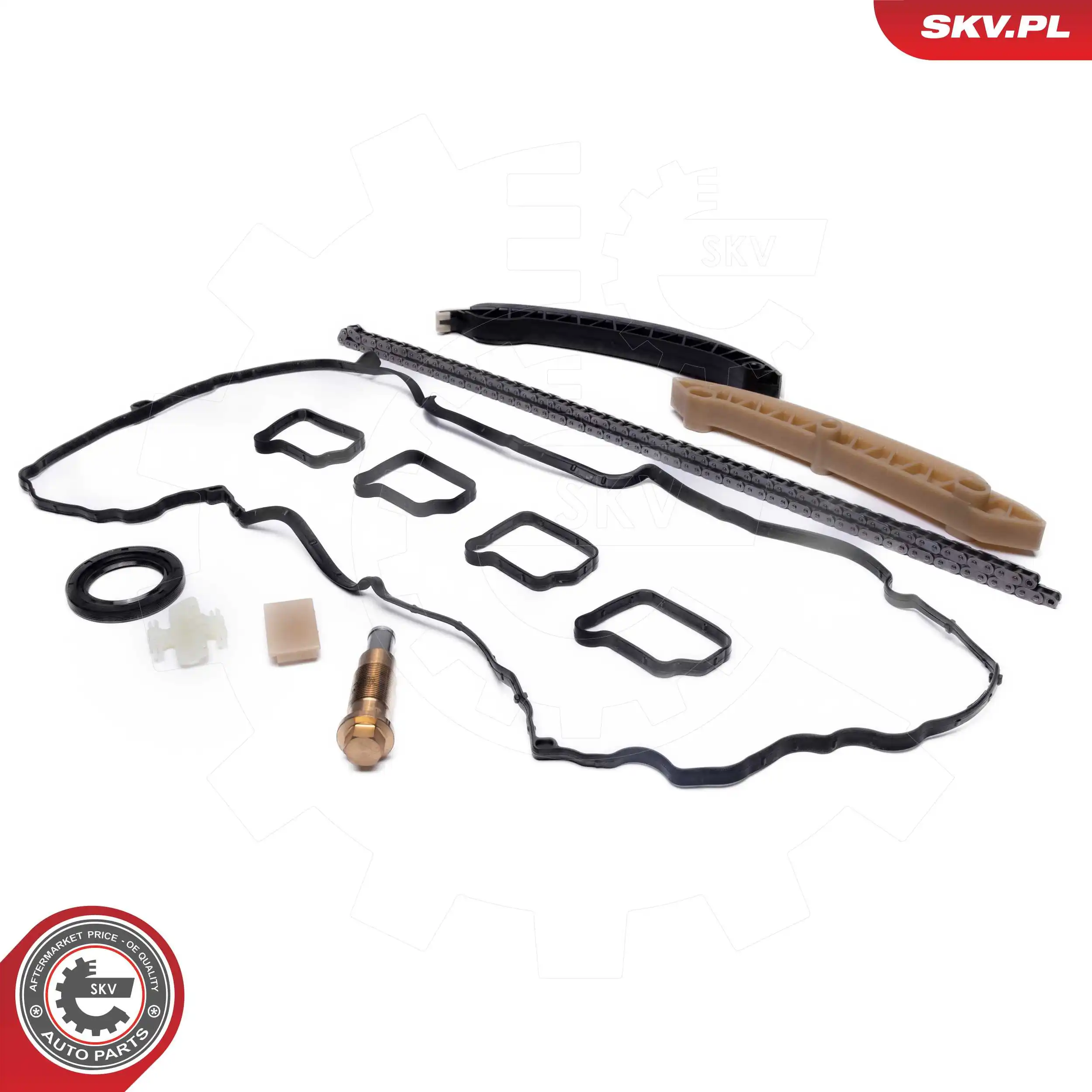 Timing Chain Kit 21SKV263