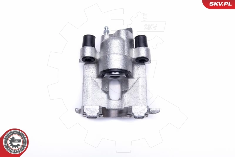 Brake Caliper 55SKV004
