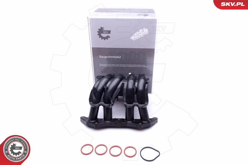 Intake Manifold Module 49SKV044