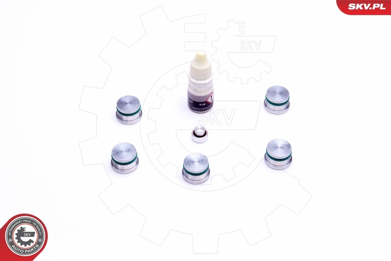 ESEN SKV 49SKV537 Repair Kit, intake manifold module