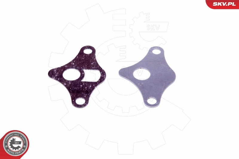 ESEN SKV 14SKV522 Repair Set, EGR valve