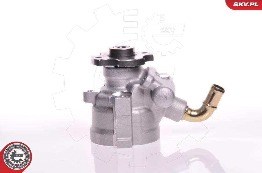 Hydraulic Pump, steering 10SKV133