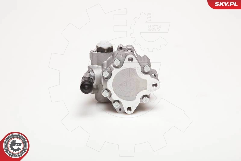 Hydraulic Pump, steering 10SKV110