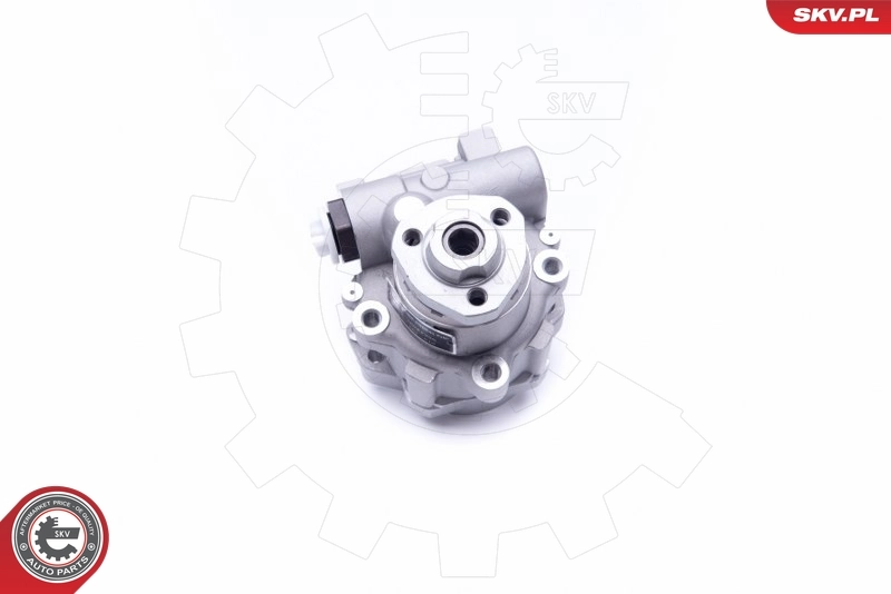 Hydraulic Pump, steering 10SKV256